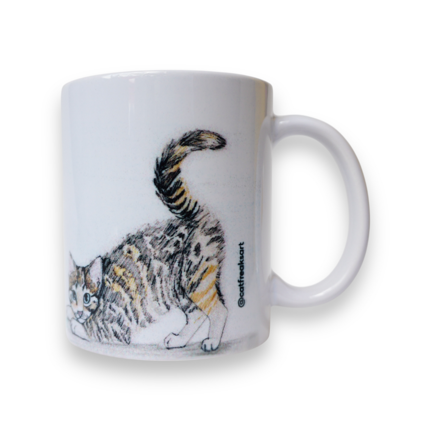 Gatitos jugando con estambre