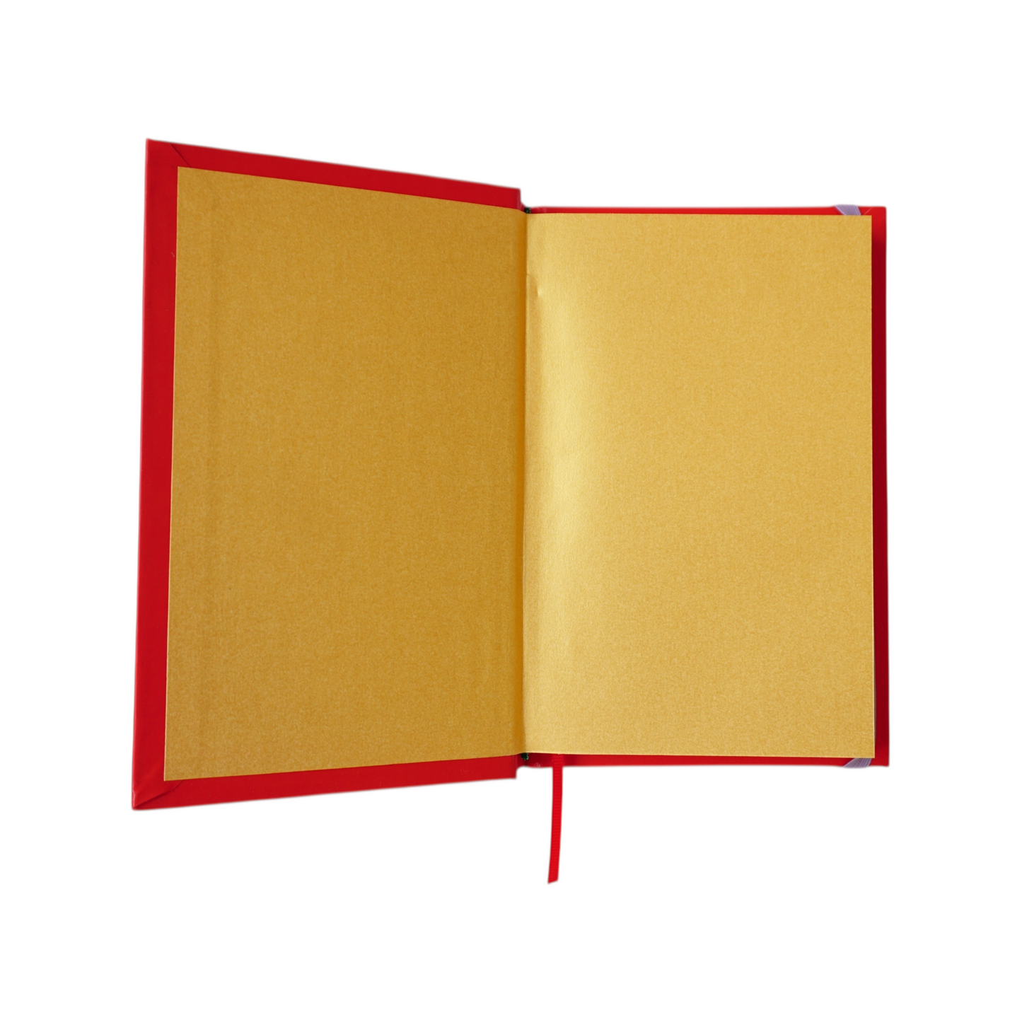 Libreta Fieras trabajando