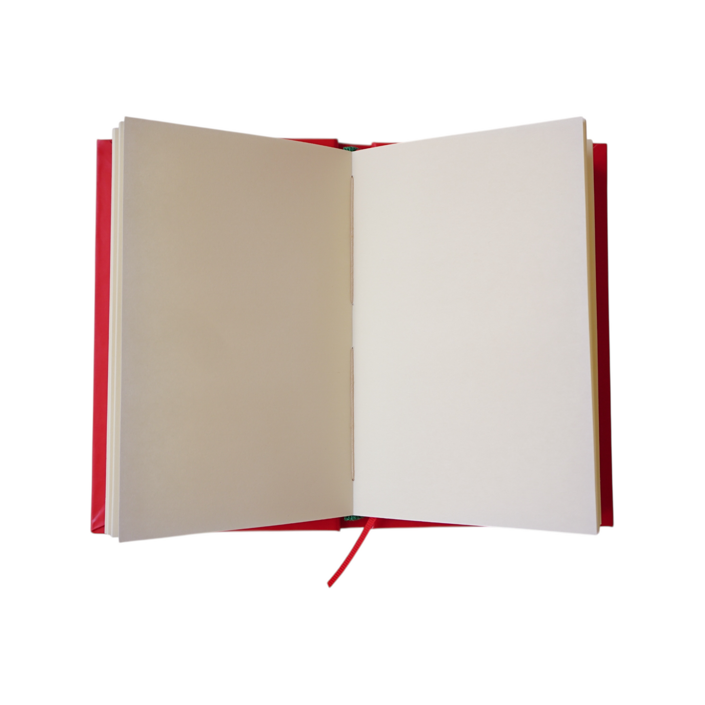 Libreta Fieras trabajando