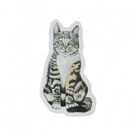 Imán Gato Atigrado