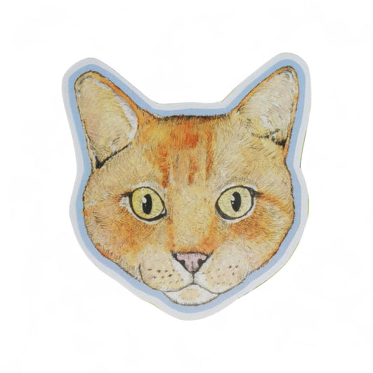 Imán Cara gato Naranja