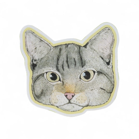 Imán Cara gato Atigrado