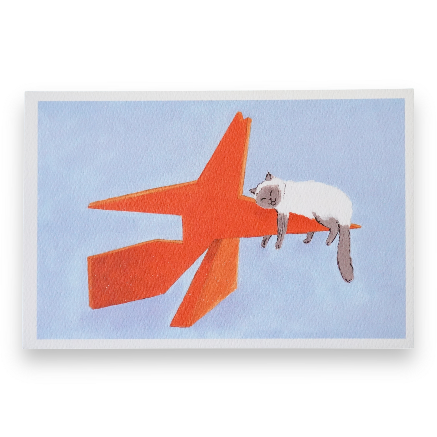 Miaunumentos Tapatíos La Colección