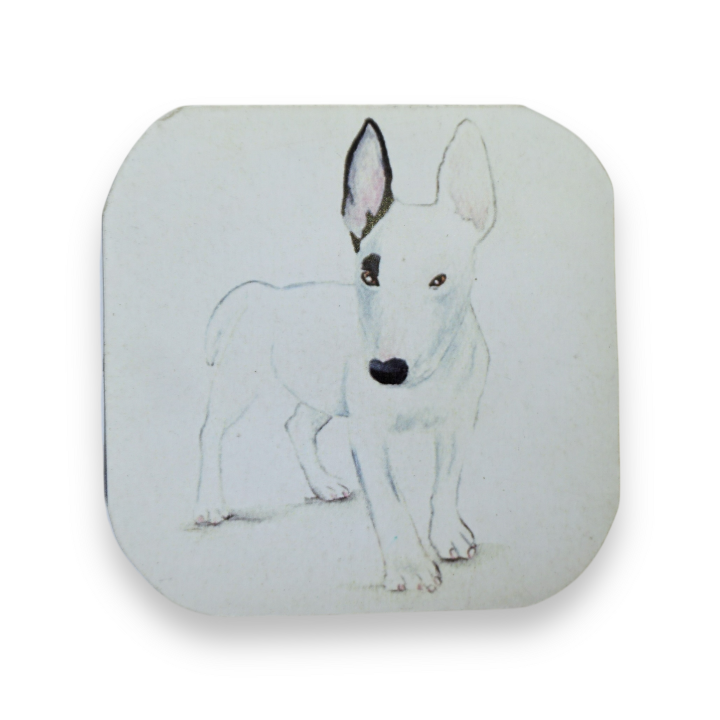 Imán Bull Terrier