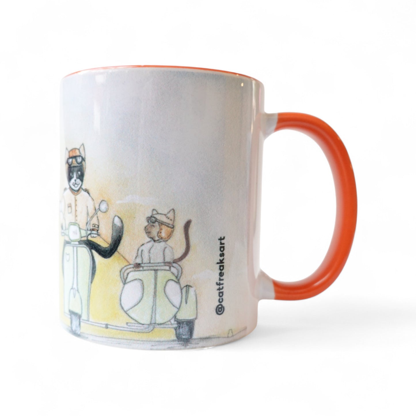 Gatos viaje en carretera