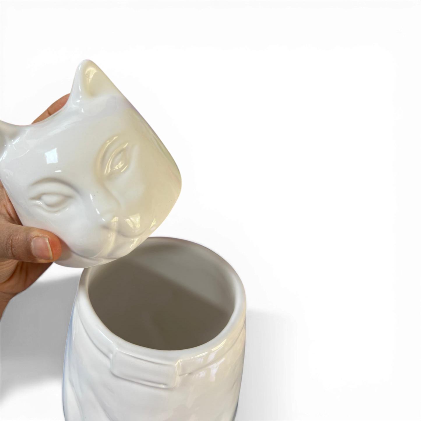 Urna para gato personalizada  SUEÑO DE GATO