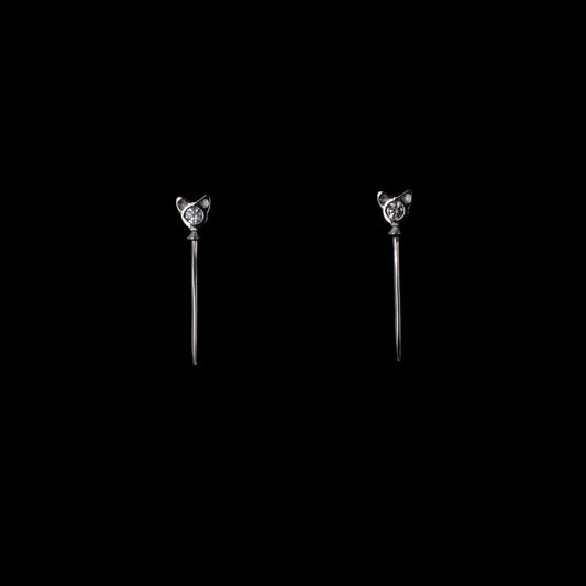Cetro aretes